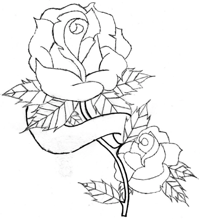Coloring book two roses and ribbon